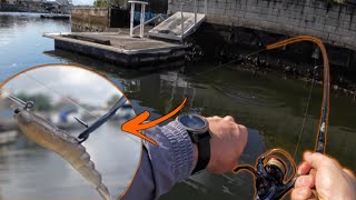 SO MANY FISH LIVE HERE | Fishing the canals, South East Queensland