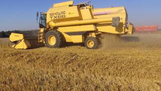 Moisson 2016/wheat harvest/TX66