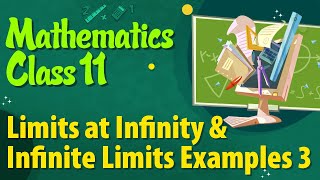 Limits at Infinity and Infinite Limits Examples 3 - Limits Class 11 - Class 11 Maths NCERT