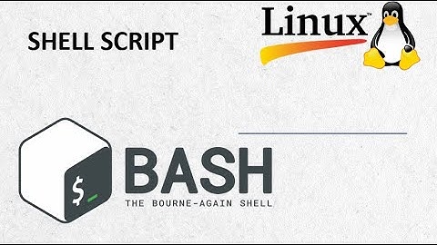 Shell script(Bash) CentOS 8 Management Directory and File | Speaking Khmer