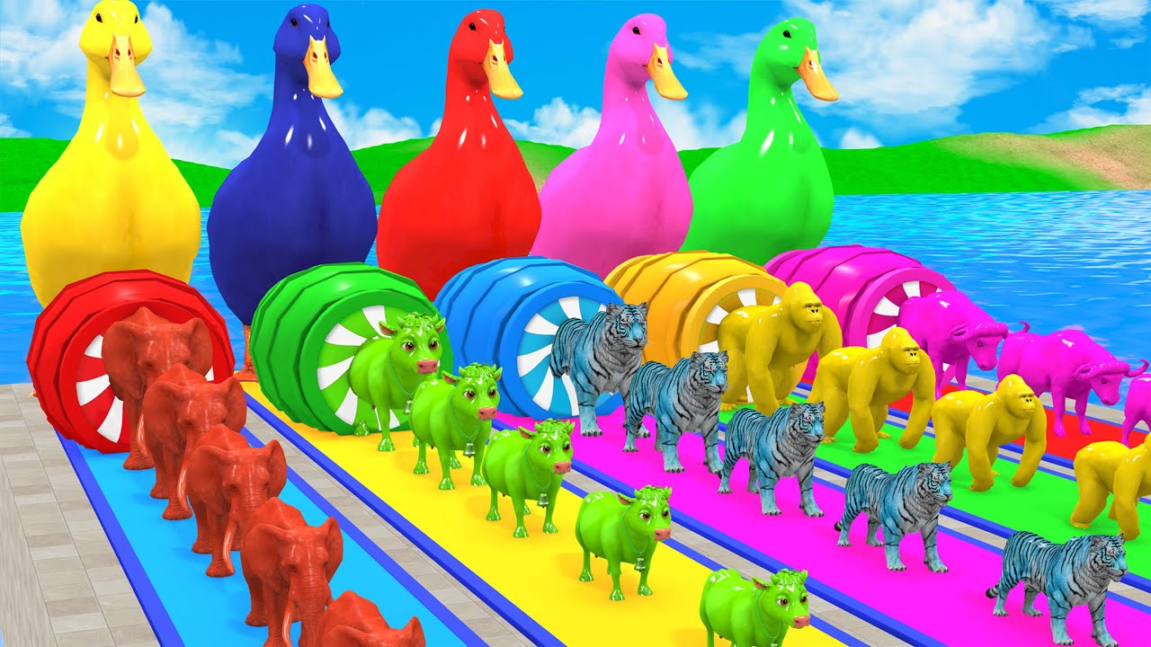 Long Slide Game With Cow Elephant Gorilla Hippopotamus Tiger 3d Animal Game Funny 3d Animals