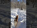 🎣РАДОСТЬ - ВАШ МАЯЧОК К ЛУЧШЕЙ ЖИЗНИ