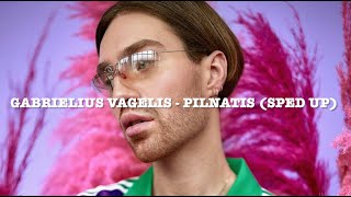 Gabrielius Vagelis - Pilnatis (sped up) by ska1ste