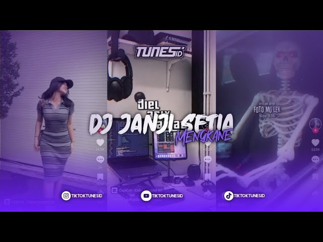 DJ ANTISAD V14 JANJI SETIA TIARA ANDINI REMIX BY LAITH RMX MENGKANE class=