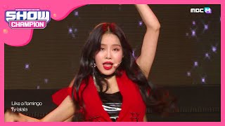 [Show Champion] 보토패스 - Flamingo (BOTOPASS - Flamingo) l EP.368