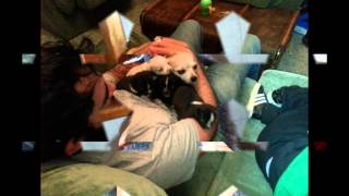 Video Roxy Y Sus Bebes2013 05