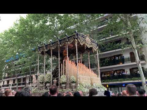 Pontificia, Real, Ilustre y Fervorosa Hermandad Sacramental y Cofradía de Nazarenos de Nuestro Padre Jesús de las Penas, María Santísima de la Estrella, Triunfo del Santo Lignum Crucis, San Francisco de Paula y Santas Justa y Rufina