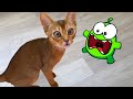 СБОРНИК ИСТОРИЙ ПРО АМ НЯМА Cut the Rope София играет с чудным зверьком Om Nom Stories