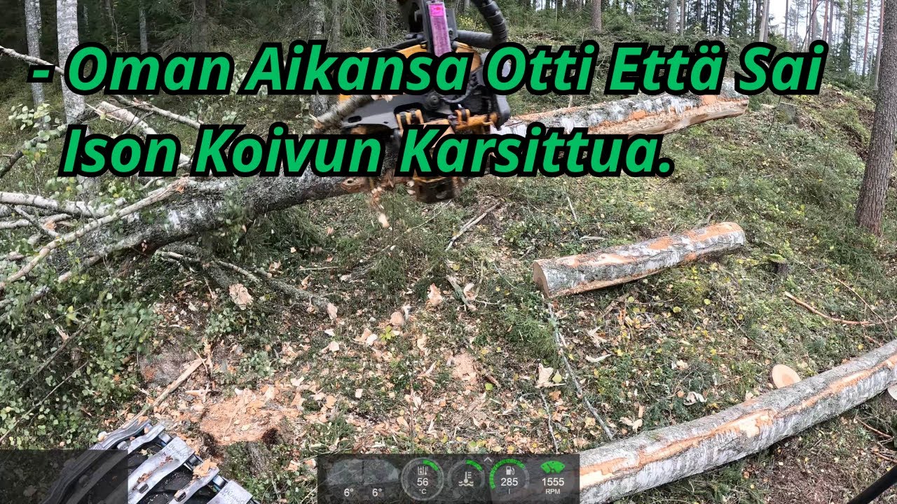 Vähäsen Rinteen Tapaista ja Suuri Oksainen Koivu Lopussa. Ponsse Scorpion K AC New H7 2025