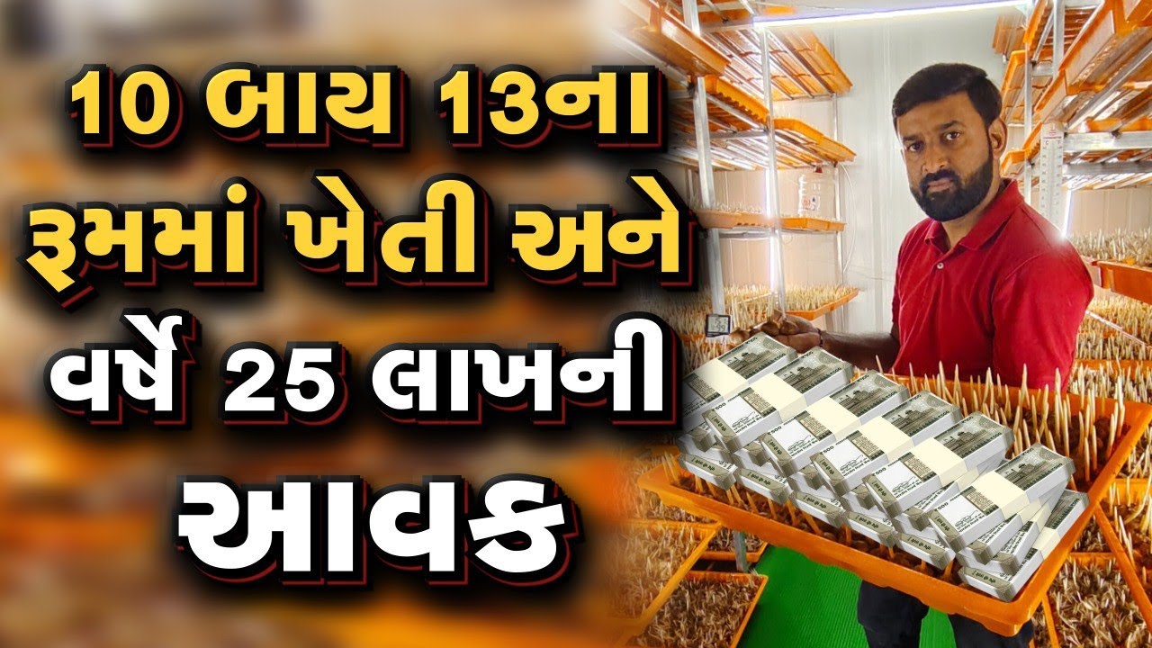 મુંબઈની film લાઈન છોડી ખેડૂત બન્યા ll સૌથી વધુ કેસરનું ઉત્પાદન કર્યું ll 2 મહિનામાં 5 લાખની કમાણી ll