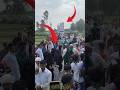 Music Ali Dj Tajiya Music Ali Dj Tajiya