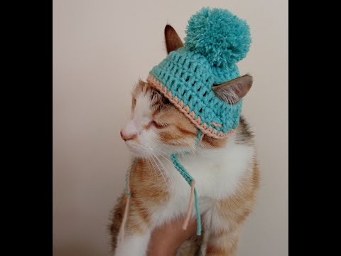 Kedim İçin Bere 🐈 Tasarladım, Kedi Beresi Nasıl Yapılır / I Designed a Beanie for My Cat