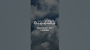 تلاوة مجملة لسورة الغاشية بصوت قاري خالد الجلیل#quran#خالد_الجليل