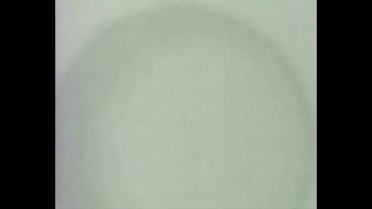 ВИD - DENDY FOREVER