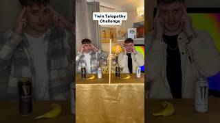 BUSTING TWIN MYTHS (TWIN TELEPATHY CHALLENGE)