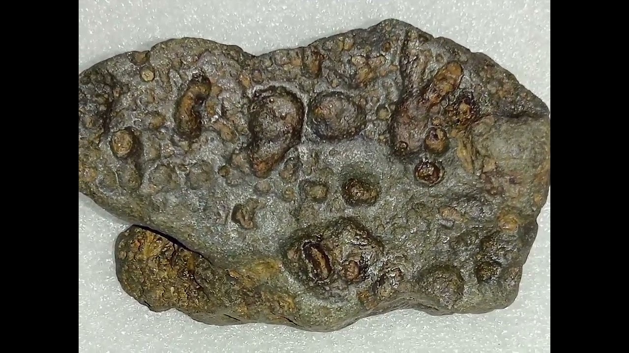 Lunar Meteorite Collection,,