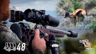You Can't Beat the African Experience! Airgun & Rifle Hunting | Oxwagon Diaries, pt.48 by AirArmsHuntingSA 49,728 views 9 days ago 17 minutes