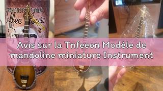 Avis sur la Tnfeeon Modèle de mandoline miniature Instrument de musique en bois pour décoration arti