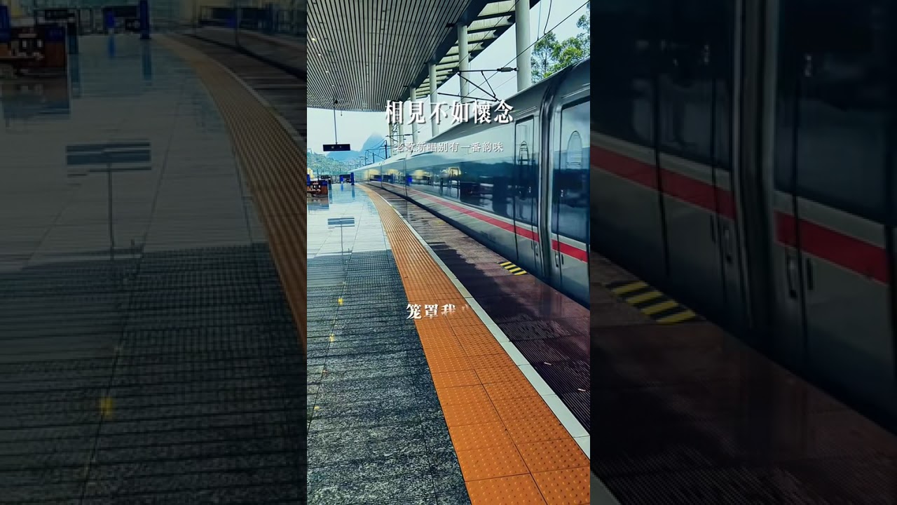 後來才懂，有些人是默契放手而非走散💔 #離別車站 #情感感悟 #成年人的世界