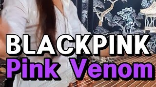Blackpink - Pink Venom Korea Instrument Cover