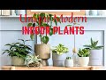 Unique Modern Indoor Plants Decor Ideas, Interior Design Ideas