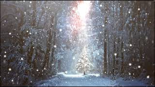 Видеофон снежный сказочный лес Videophone snow fairy forest