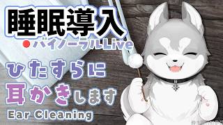 【Binaural/黒3Dio】本気で眠りたい人のためのじっくり奥まで耳かき 2026.4.23【にじさんじ/鈴木勝】