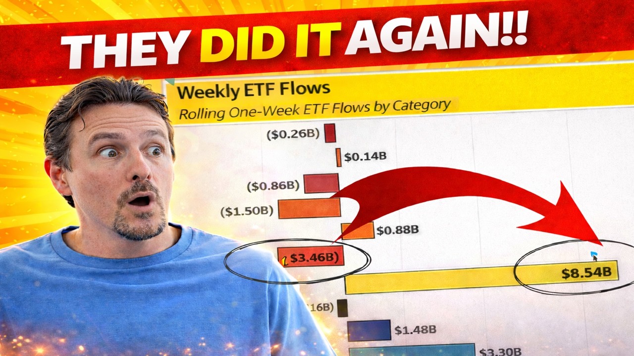 🚨These Stocks Are 