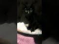 كل اللي يشوفها تقول سوده وانا خليتها تنور