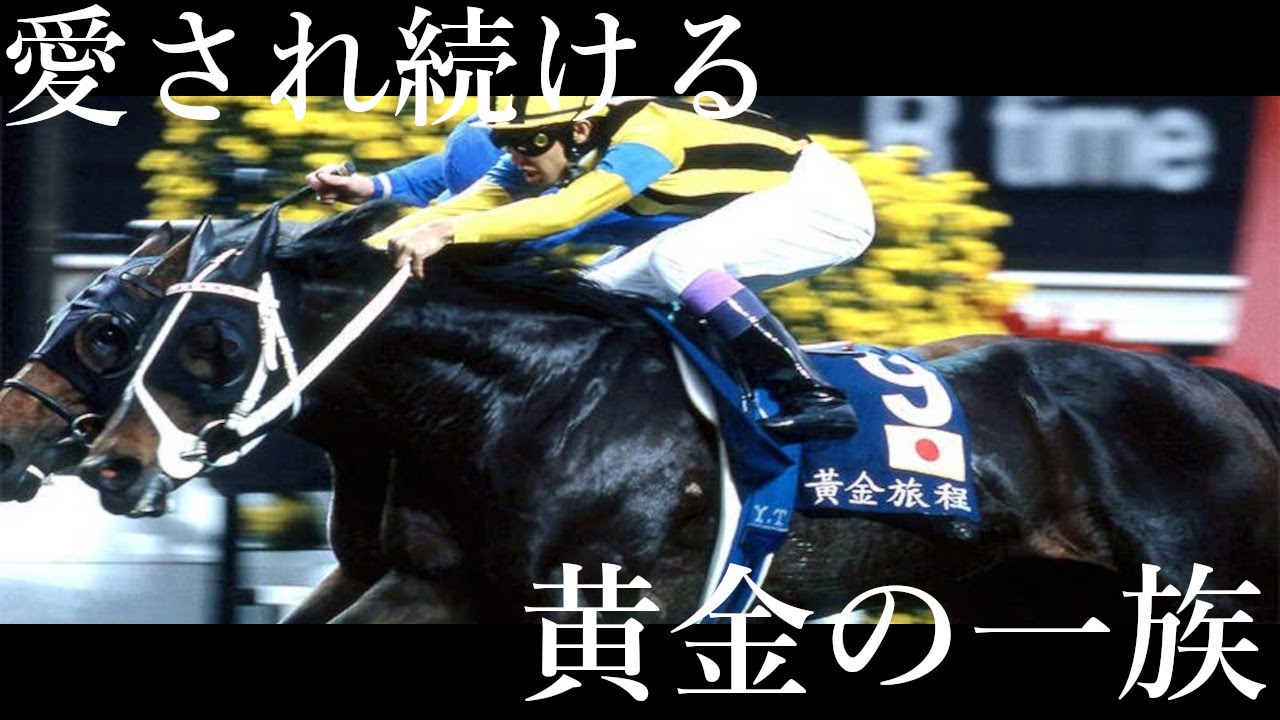 ステイゴールド一族 ポチ袋 セット オルフェ ゴルシ オジュウ 競走馬