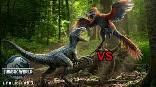 Vidéo sur Jurassic World Evolution 3 le combat avec Blue VS Pyroraptor
