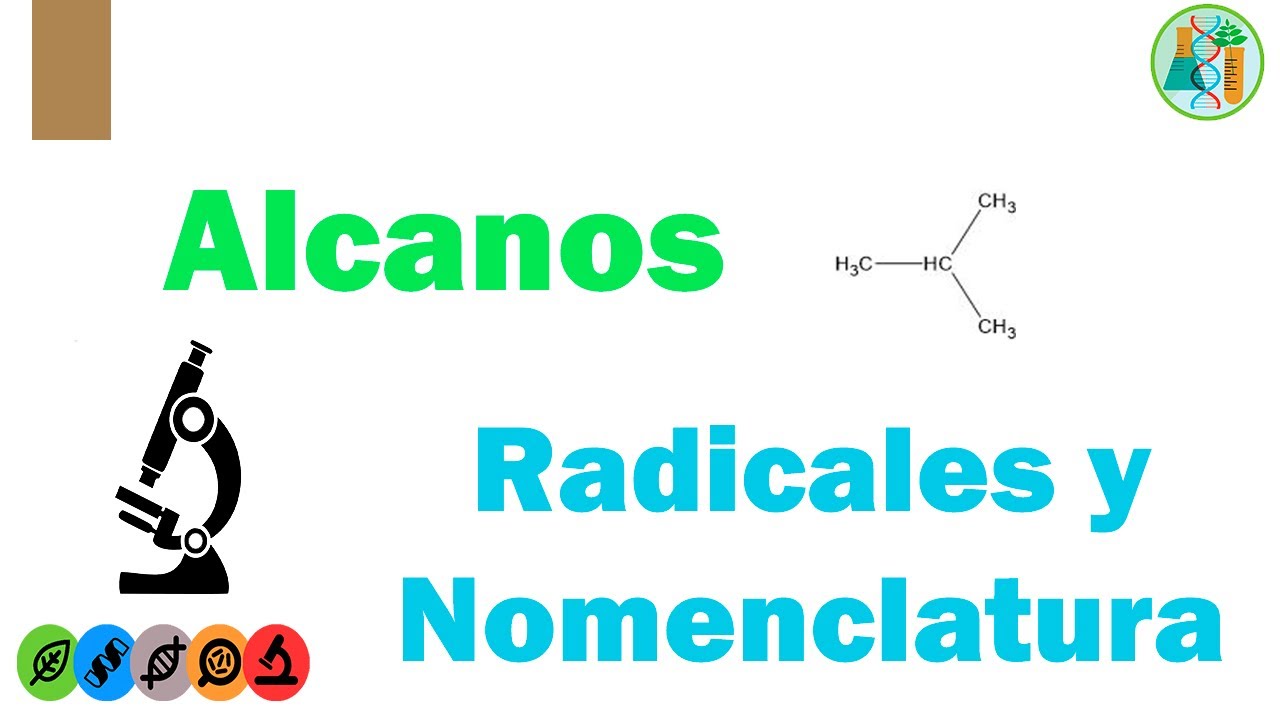 ALCANOS: Radicales, Nomenclatura y Ejercicios