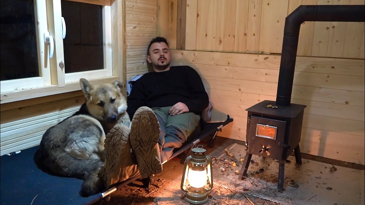 Cozy Rainy Night in My Wooden Cabin with My Dog | Wood Stove & Nature Sounds