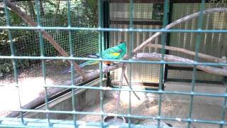 Tierpark Dessau (2)
