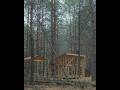 Off grid cabin building, DIY Roof #tinyhouse #carpentry #off grid