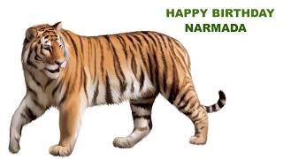 Narmada   Animals & Animales - Happy Birthday