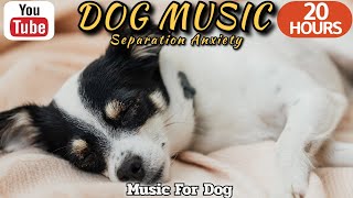 20 HOURS of Dog Calming Music🐶💖 Dog Relaxing Piano🦮🎵Anti Separation Anxiety Relief Music⭐Healingmate