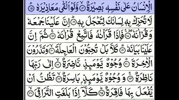 سورة القيامة كامله بصوت عمار ياسر