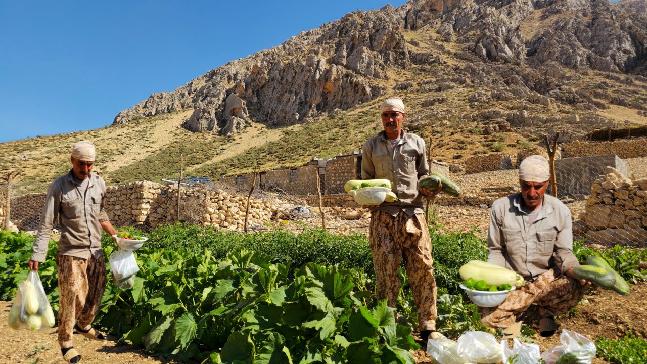 🍅🫑🫜Fresh Farm: Harvesting organic and healthy products (tomatoes, peppers...) by a nomadic man🍅🫜