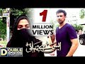Watch Aisi Hai Tanhai Episode 17 & 18 - 3rd Jan 2018 - ARY Digital Drama Online In Hd