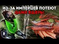 ИЗ-ЗА ИМПЕРЦЕВ ПОТЕЮТ ДАЖЕ ЯЩЕРЫ | Ящеролюды vs Империя | Каст по Total War: Warhammer