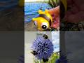 Toy Learning Fun | Kids Learn Bug Insect Names at the Lake: Ladybug Stink Bug Bee Cicada Earthworm