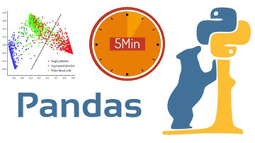 Normalización de datos python ✅ | (3 MÉTODOS en 5 minutos 🤯 )