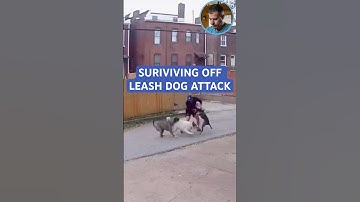SURVIVING OFF LEASH DOG ATTACK #dogpsychology #dog #dogs #dogtrainer #nycdogtrainer #newjersey #nj