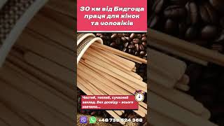 Робота біля Бидгоща для всіх!