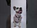 Tiny pup,shiny charm—carry their love with you,every day.#pets #dog #necklace #lovedog #cute #puppy