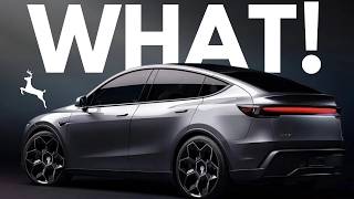 Tesla Full Self Driving AVOIDS Deer at 70MPH Net Worth