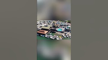 Road Runner Floating Dock Bar and Resort on the Parker Strip, Colorado River!