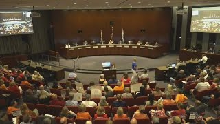 Naperville City Council vote to ban sale of high powered rifles