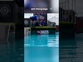This Dog Has No Fear 😱 AKC Diving Dogs